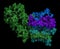 Gamma secretase protein complex. 3D illustration.