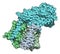 Gamma secretase protein complex. Multi-subunit intramembrane protease that plays role in processing of proteins such as amyloid