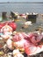 Ganesh Immersion-Water pollution