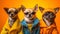 Gang family of chihuahua dog puppy in vibrant bright fashionable outfits, commercial