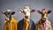 Gang family of cow in vibrant bright fashionable outfits, commercial, editorial advertisement