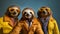 Gang family of sloth in vibrant bright fashionable outfits, commercial, editorial advertisement