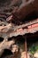 Ganlu temple , a Temple built on dangous cliff, in Fujian, China