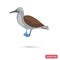 Gannet bird color flat icon