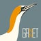 Gannet bird vector illustration flat style profile