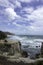 Gannet colony Muriwai beach near Auckland