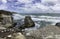 Gannet colony Muriwai beach near Auckland