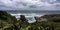 Gannet colony Muriwai beach near Auckland