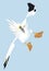 Gannet fly in the sky