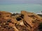 Gantheaume Point, Broome, Western Australia