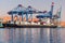 Gantry cranes load container ship