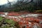 Ganzi, China: Red Rock National PARK