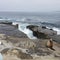 A gap in a rock wall looking out at the ocean and waves with a sea lion laying nearby