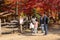Gapyeong,South korea-October 2020: Korean children feeding an ostrich at the farm with red maple autumn trees at the background