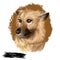 Garafian Shepherd dog breed digital art illustration isolated on white. Popular puppy portrait with text. Cute pet hand