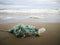 Garbage on a beach, Caspian sea