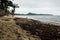 Garbage on the beach.problem with rubbish disposal and trash management. Trash on the beach after a storm at sea