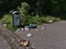 Garbage bin in park area in Koblenz with package waste lying around with green grass and bushes.