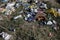 Garbage and construction debris scattered all around an empty lot in Bucharest, near a makeshift shelter