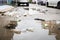 Garbage and dirty water,lot of rubbish scattered all over the street after heavy rains and flooding,dirt of debris,pieces of waste
