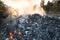 Garbage and fire burn in landfill cause of air pollution, environmental damage and global warming.