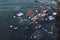 Garbage floats in the sea, plastic, styrofoam, bottles, bags. Environmental pollution