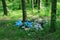 Garbage in the forest