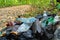 Garbage in the forest, consisting of plastic bottles and plastic bags