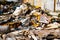 Garbage illegally dumped in an open dump