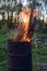 Garbage incineration in rusty metal barrel. burning branches and old grass from the land plot in a barrel. spring cleaning of the