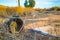 Garbage lying in the Arizona desert