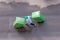 Garbage man at work moving trash containers, top view