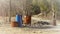 Garbage and old metal rusty cans dumped beside walking trail