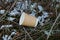Garbage from one empty brown paper cup pours on dry grass and white snow