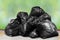 Garbage is pile lots dump, many garbage plastic bags black waste on nature sunshine, pollution from trash plastic waste garbage
