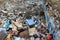 Garbage piled on the side of the road in empty lot