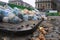 A Garbage problem: the city has been overfilled with garbage because of which foodscraps and garbage bags can be found piled up on