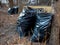 The garbage sacks standing in the park after spring cleaning