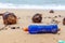 Garbage on sea beach, dirty ocean water, environmental pollution, ecology, waste, rubbish, plastic, trash, refuse, litter