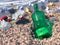 Garbage on the sea beach ecologic concept
