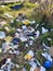 Garbage strewn throughout the grasses off the springwater trail at 82nd ave.