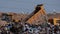 A garbage truck pours garbage out of its body at a landfill. Vulture birds fly over the garbage. Ecological problems