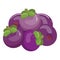 Garcinia mangosteen icon cartoon vector. Tropical food