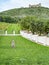 Garden adjacent to the vineyard, orchards. Wine region