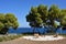 Garden on the Aegean sea coast, Attica, Greece