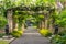 Garden alley, arch with blooming wisteria flowers