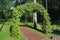 Garden arch made of intertwined oak branches