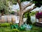 Garden area of a picturesque vineyard with huge wine bottles and wine barrels. Wine casks and set of different empty wine bottles