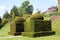 Garden art. garden design. topiary trees