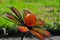 Garden Art - Orange Metal with Glass Flower - Sphere with Petals